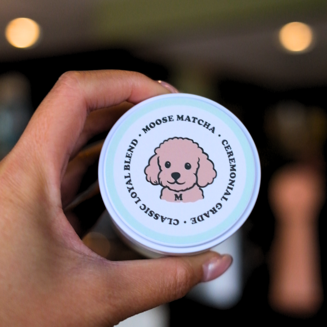 Moose Matcha Tin 30g - Classic Loyal Blend