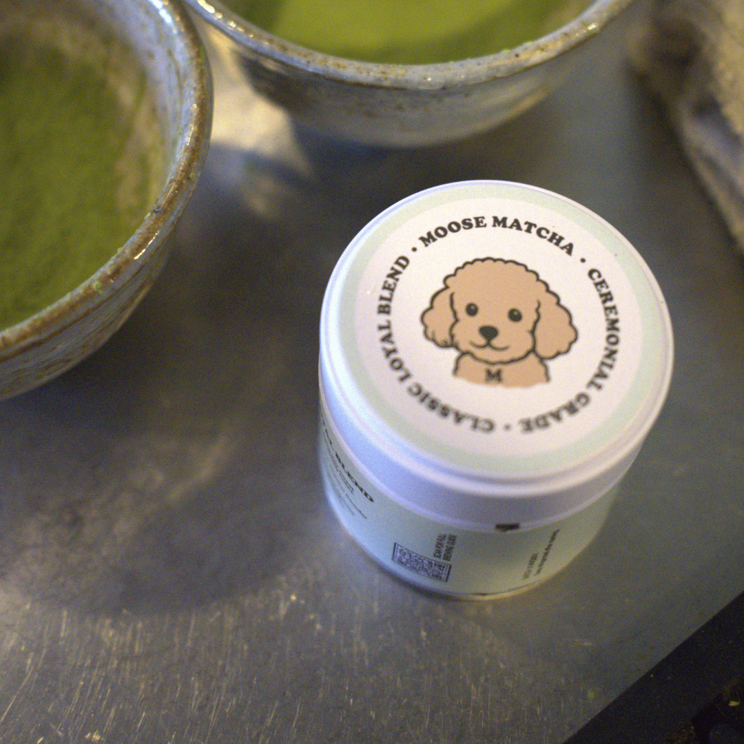 Moose Matcha Tin 30g - Classic Loyal Blend